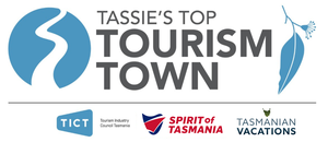 Top Tourism Towns Logo