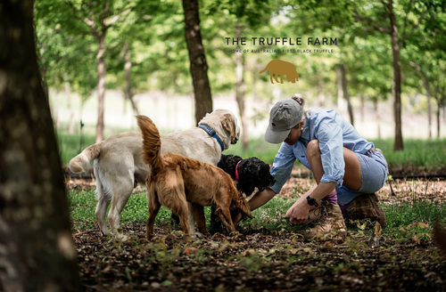 Truffle Farm